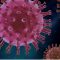 covid virus closeup