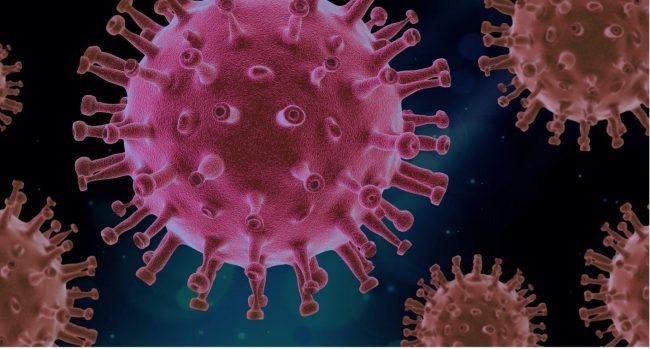 covid virus closeup covid virus closeup